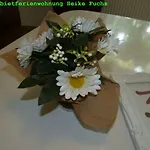 Apartman 5x Balkon-apartments Mit Kueche 40-65qm Ruhrgebietferienwohnung Dobry-fuchs