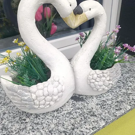 5x Balkon-apartments Mit Kueche 40-65qm Ruhrgebietferienwohnung Dobry-fuchs