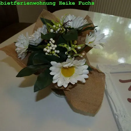 Apartman 5x Balkon-apartments Mit Kueche 40-65qm Ruhrgebietferienwohnung Dobry-fuchs