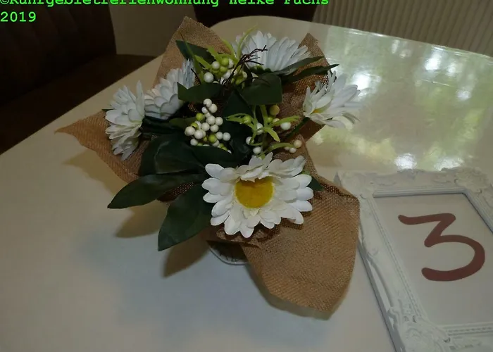 Apartmán 5x Balkon-apartments Mit Kueche 40-65qm Ruhrgebietferienwohnung Dobry-fuchs